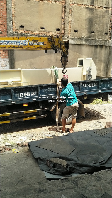 len duong ban giao gau tai