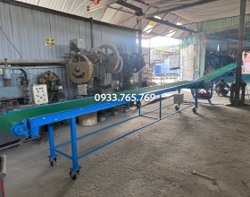 02 Băng Tải rau Củ Quả